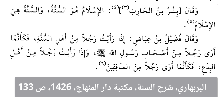 brbhari_islam_sne.png