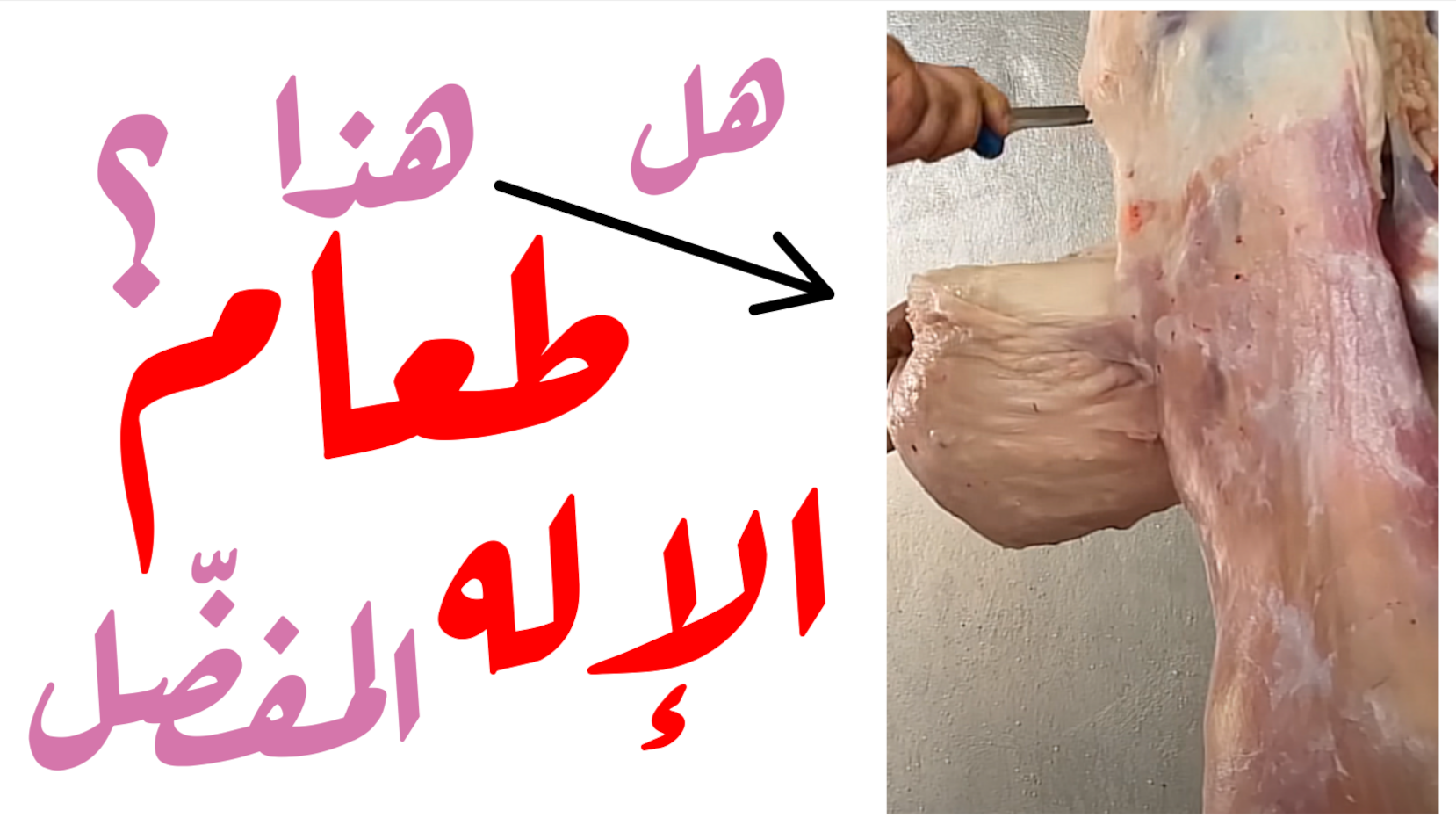 toam_mfdl_th.png